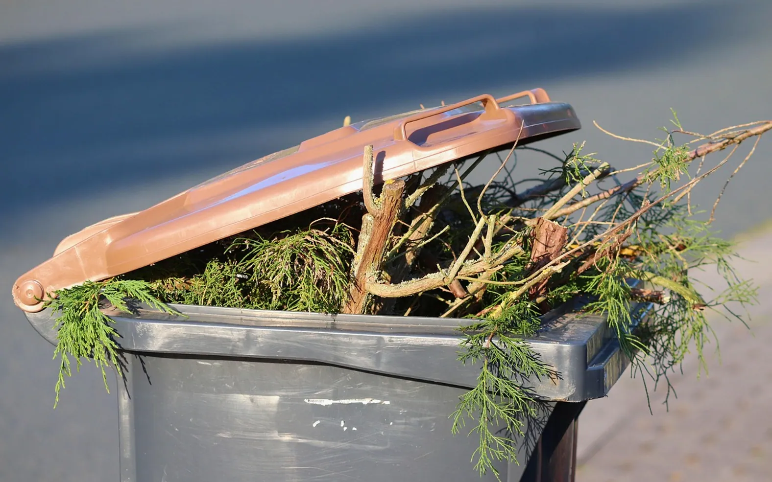 Garbage can, green cut and brown ton