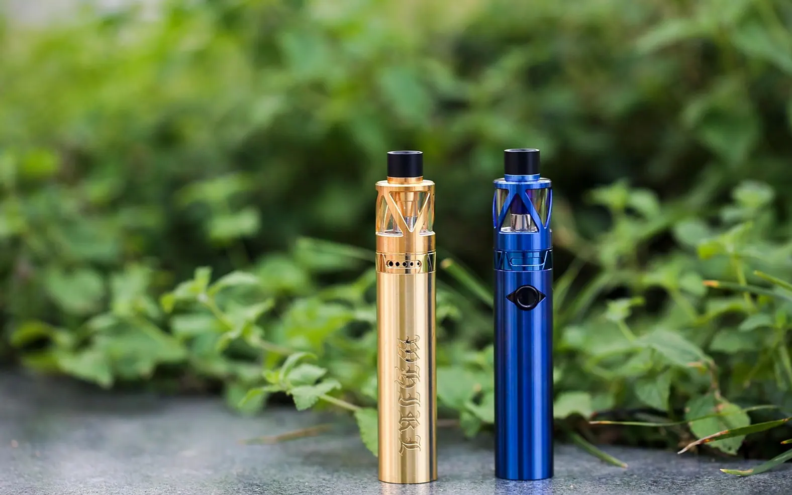 Vape, electronic cigarette and host