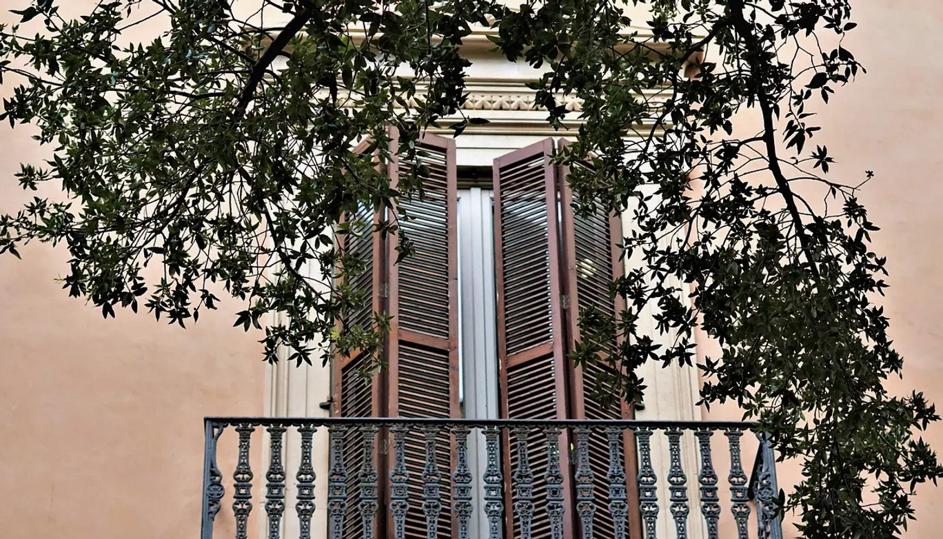Balcony, window and facade