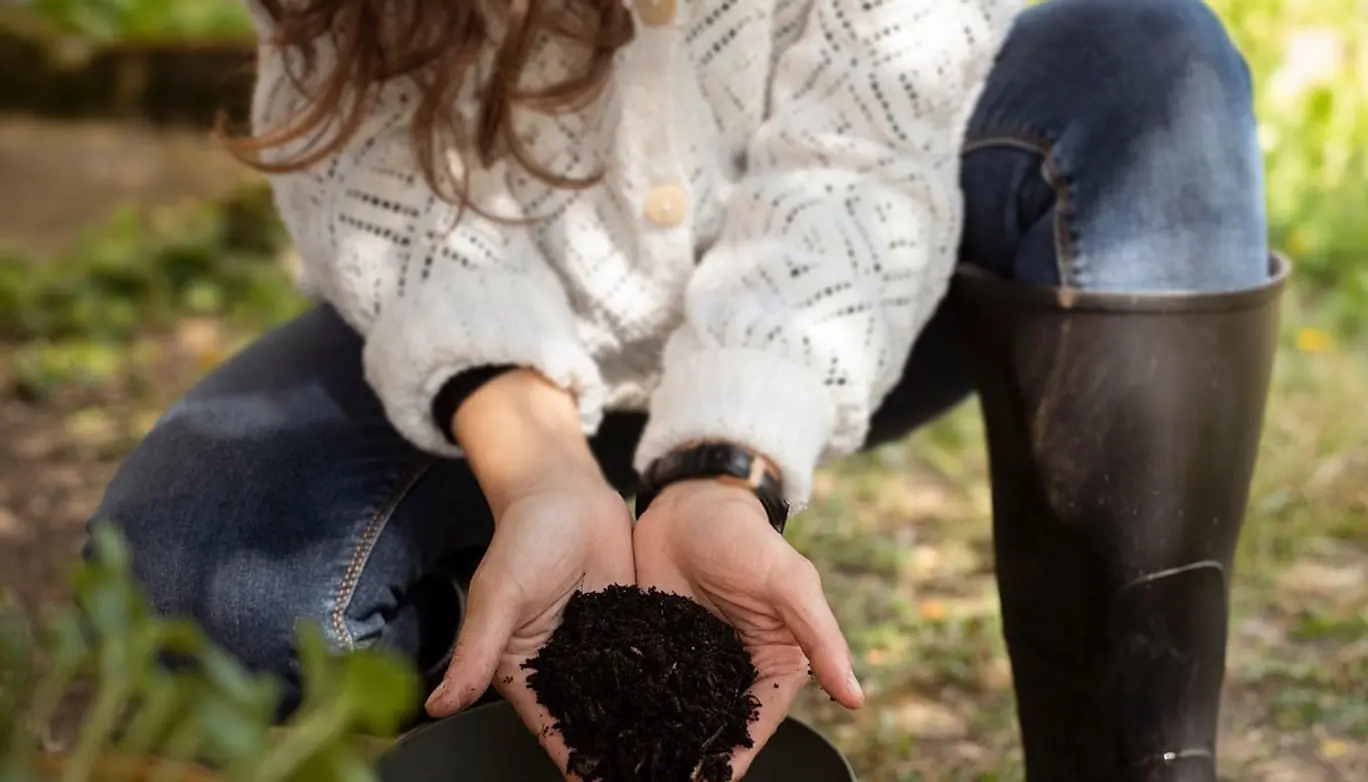 Woman, hands and plant maintenance